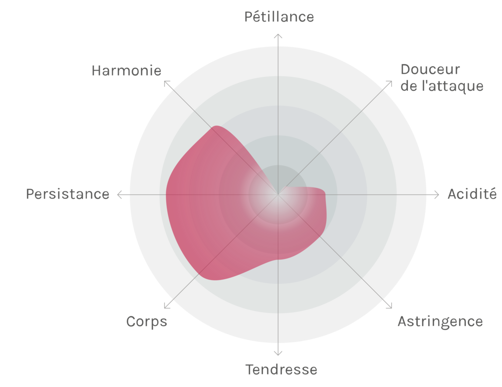 Spinnennetz-Chart