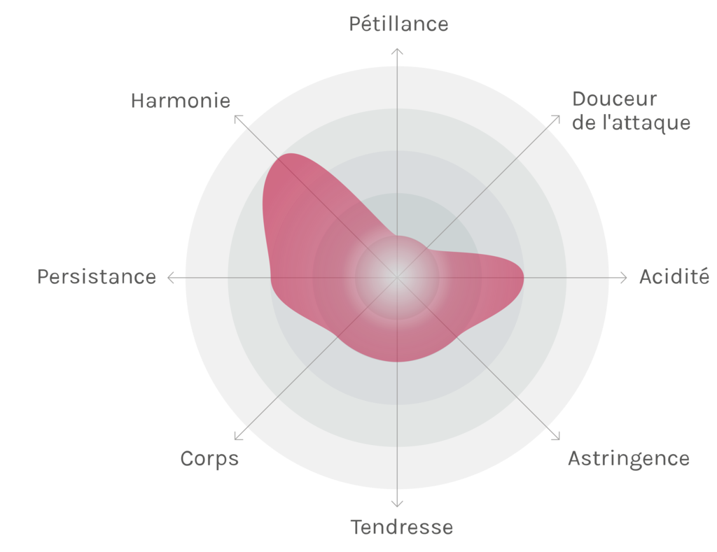 Spinnennetz-Chart