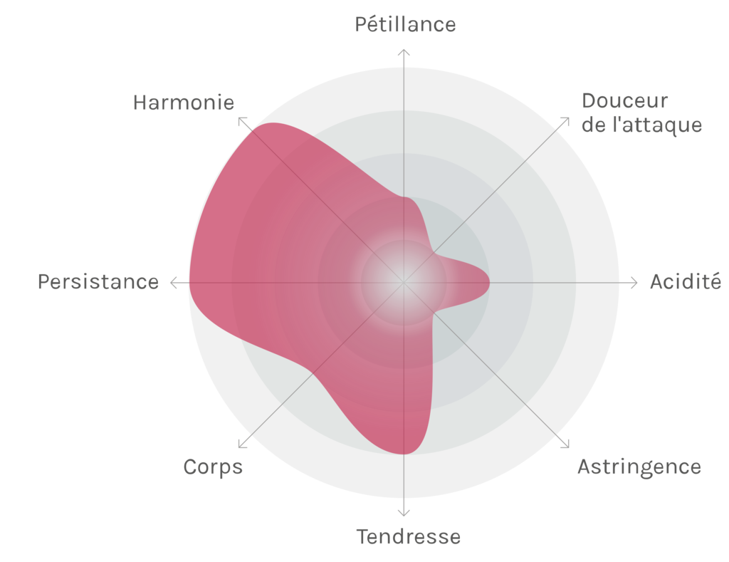 Spinnennetz-Chart