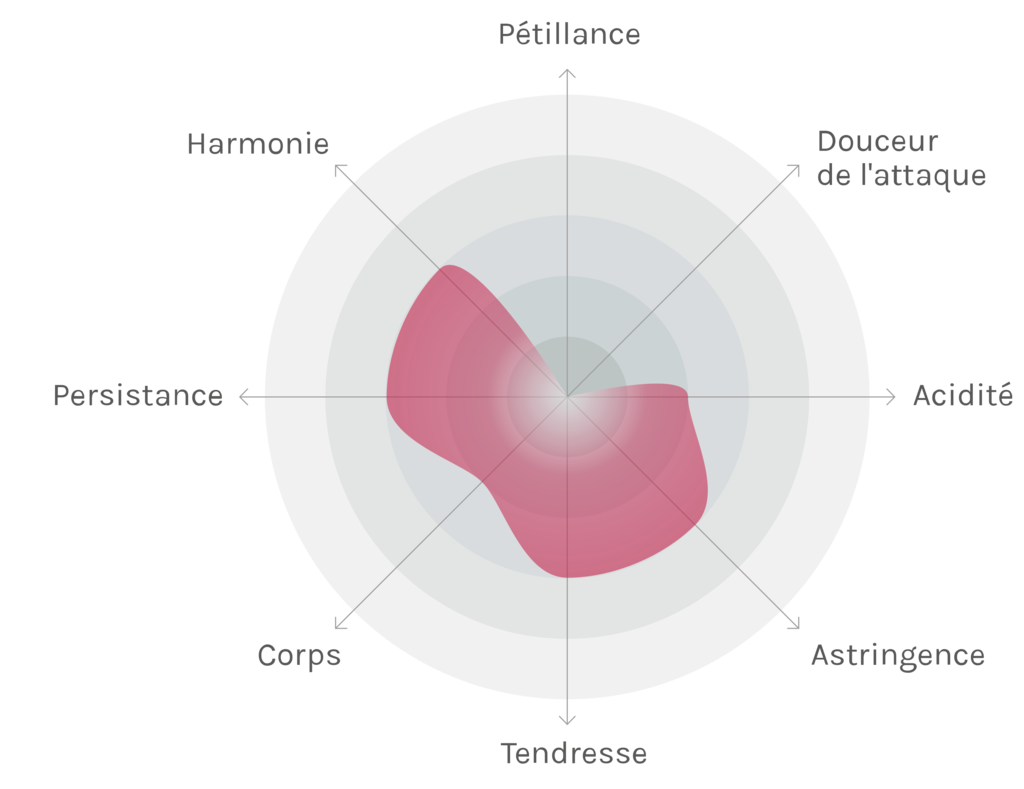 Spinnennetz-Chart