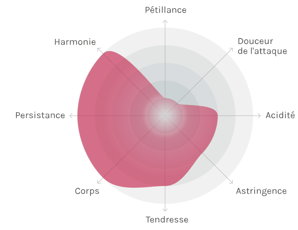 Spinnennetz-Chart