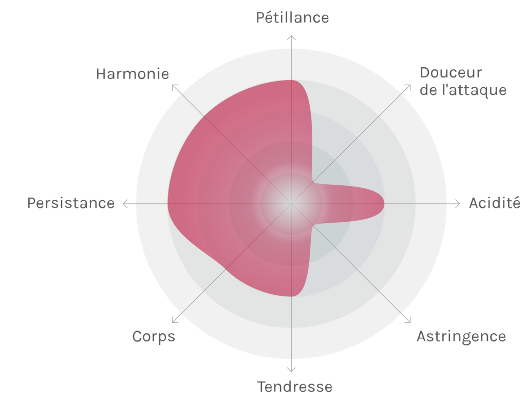 Spinnennetz-Chart