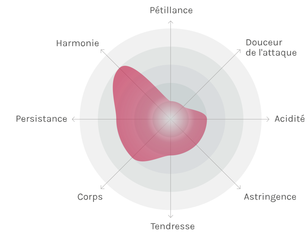 Spinnennetz-Chart