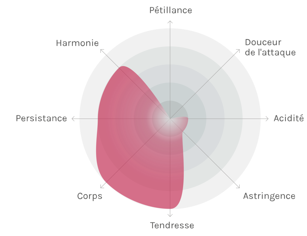 Spinnennetz-Chart