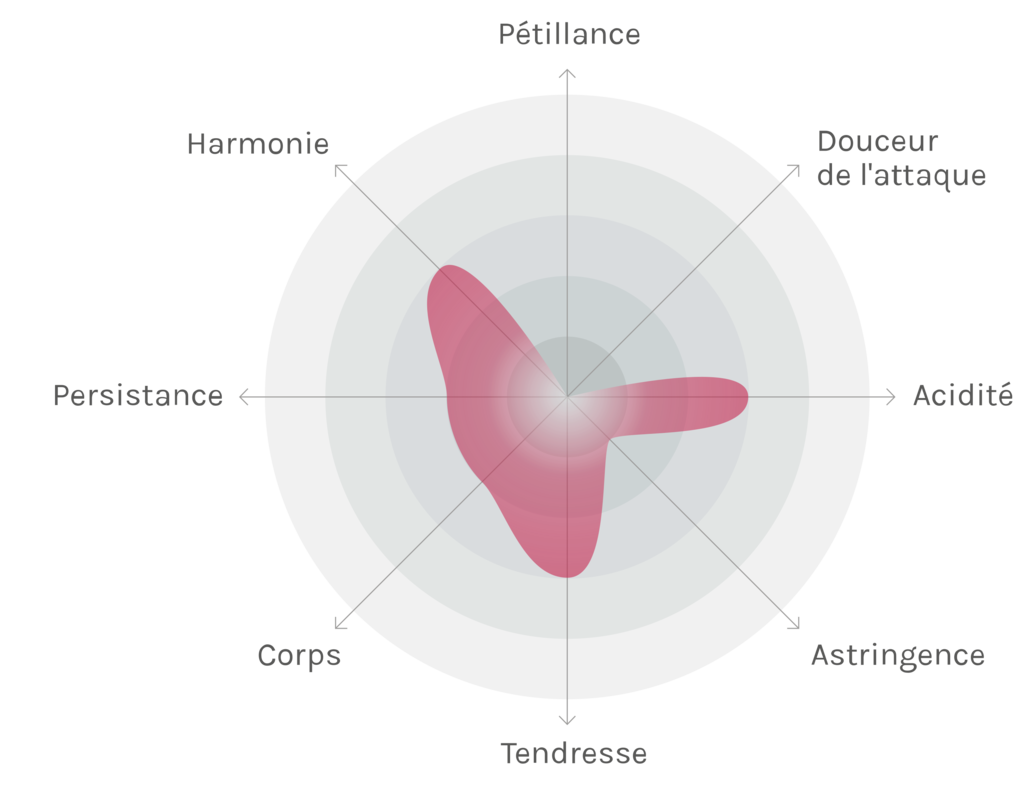 Spinnennetz-Chart