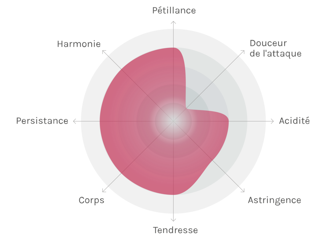 Spinnennetz-Chart