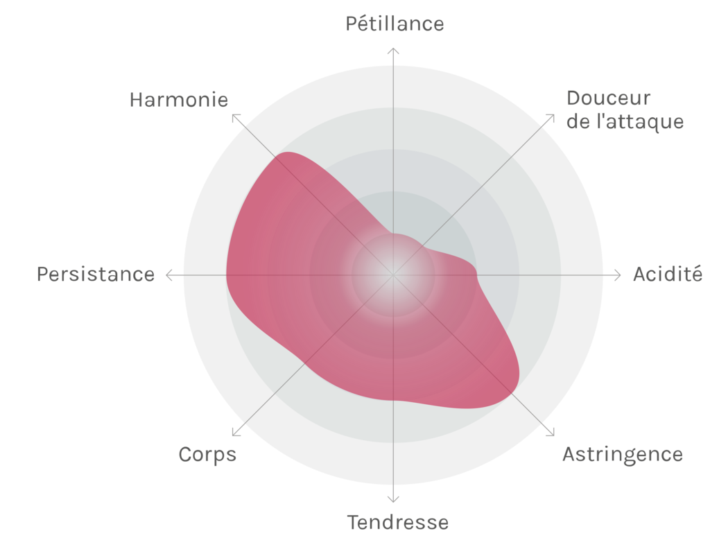 Spinnennetz-Chart