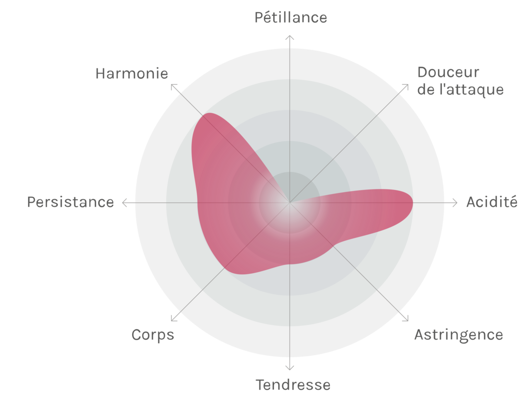 Spinnennetz-Chart