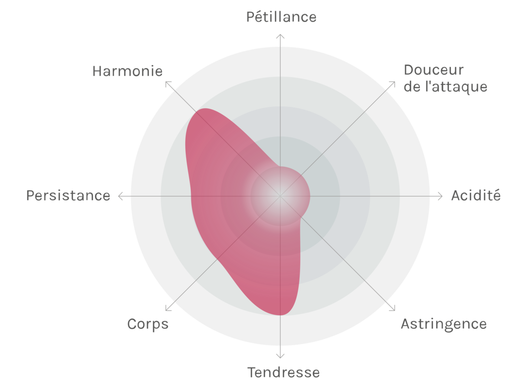 Spinnennetz-Chart