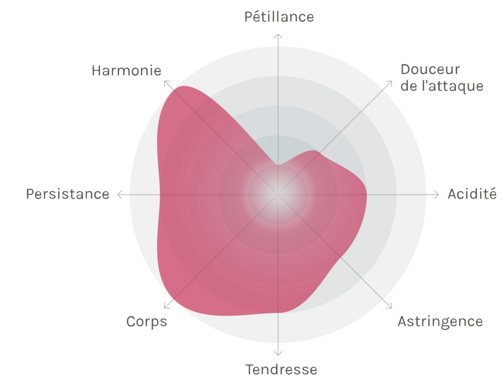 Spinnennetz-Chart