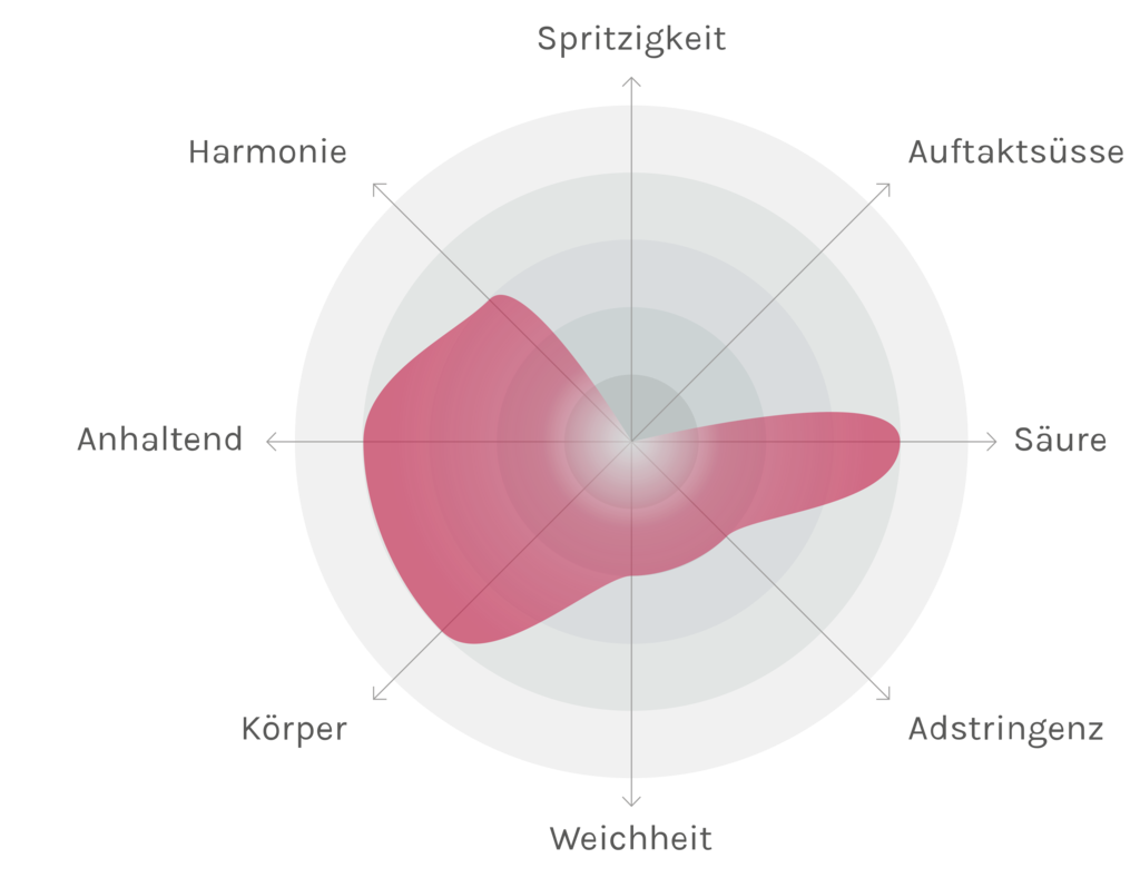 Spinnennetz-Chart