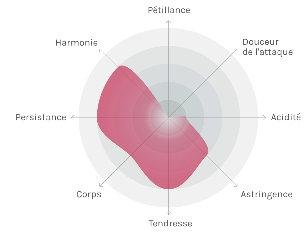 Spinnennetz-Chart