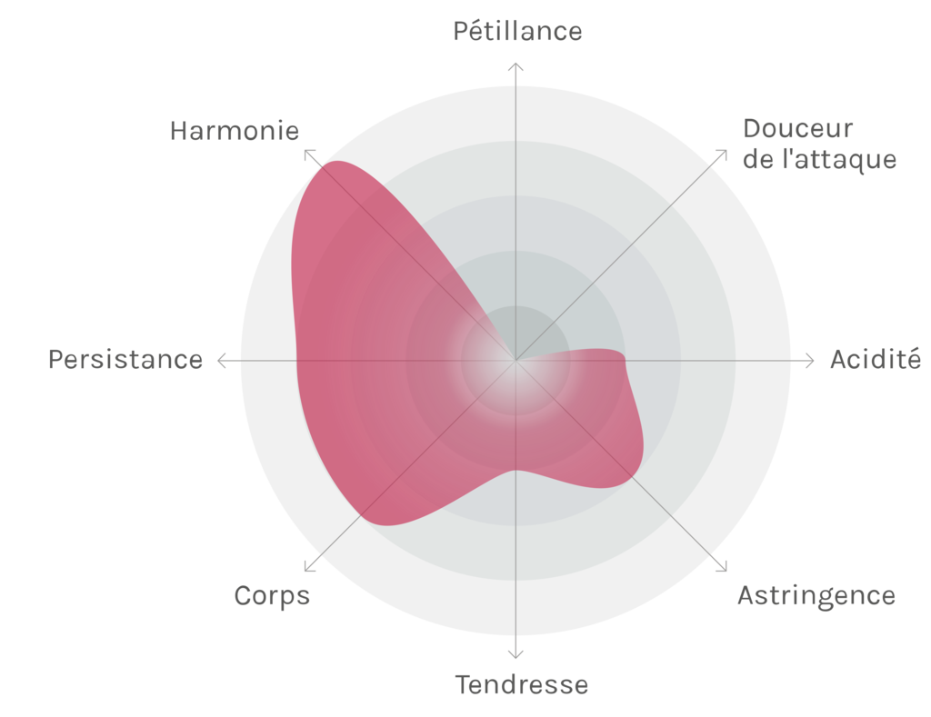 Spinnennetz-Chart