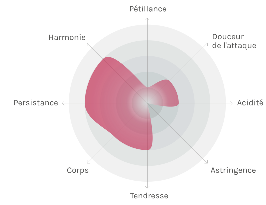 Spinnennetz-Chart