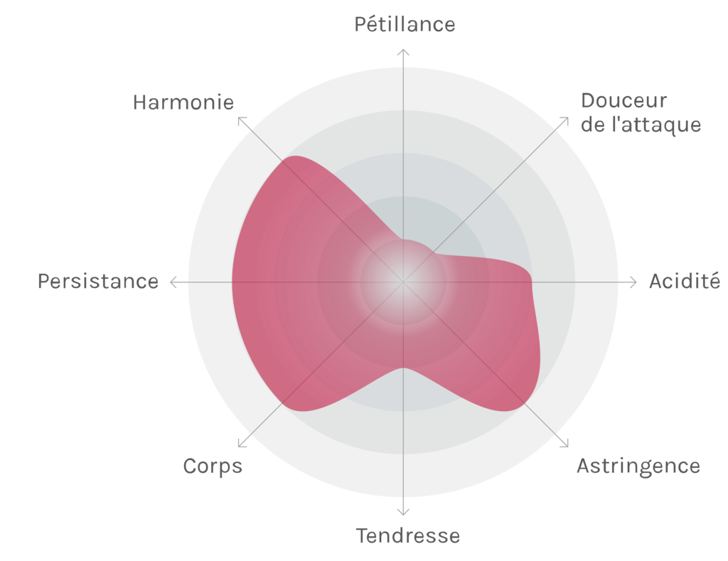 Spinnennetz-Chart