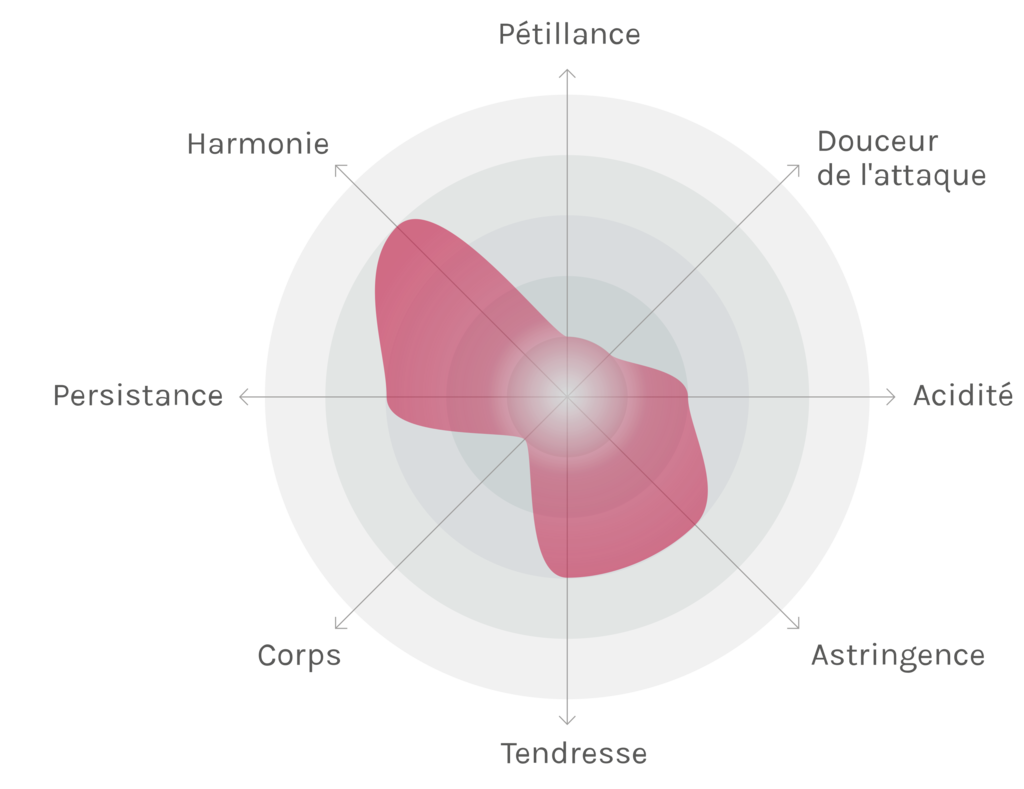 Spinnennetz-Chart