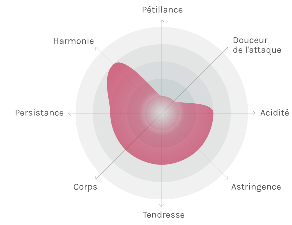 Spinnennetz-Chart