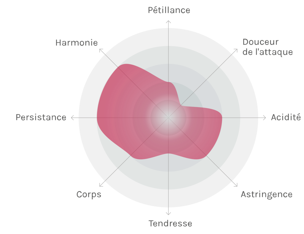 Spinnennetz-Chart