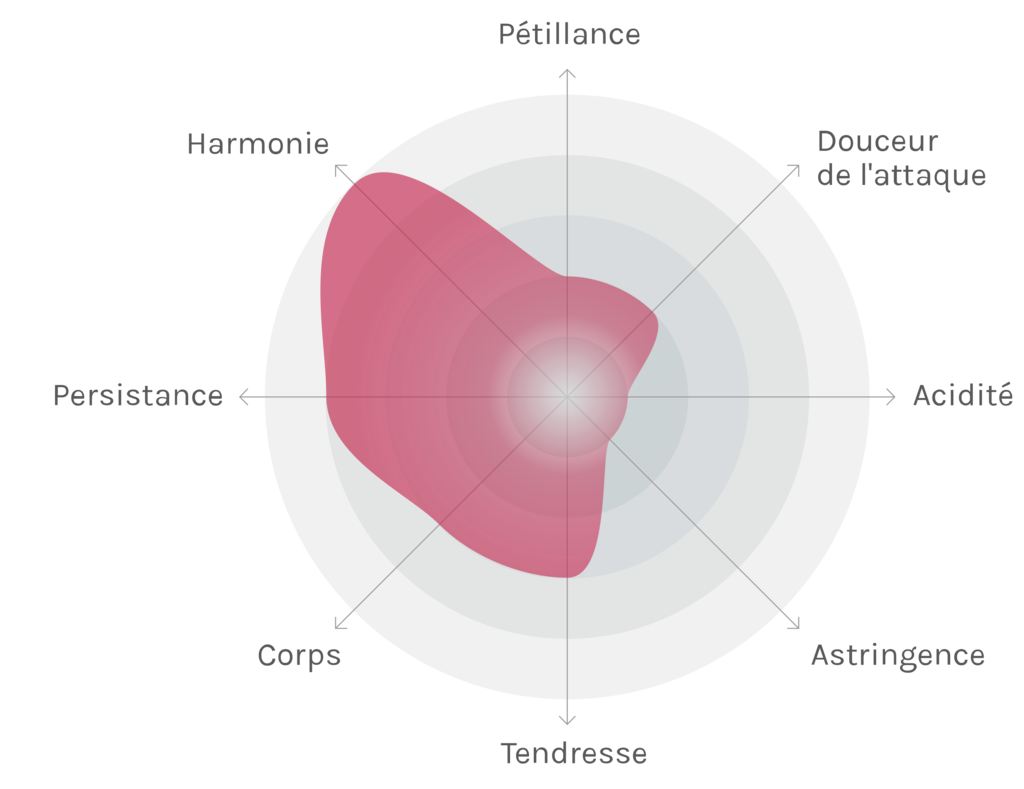 Spinnennetz-Chart