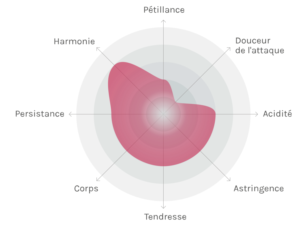 Spinnennetz-Chart