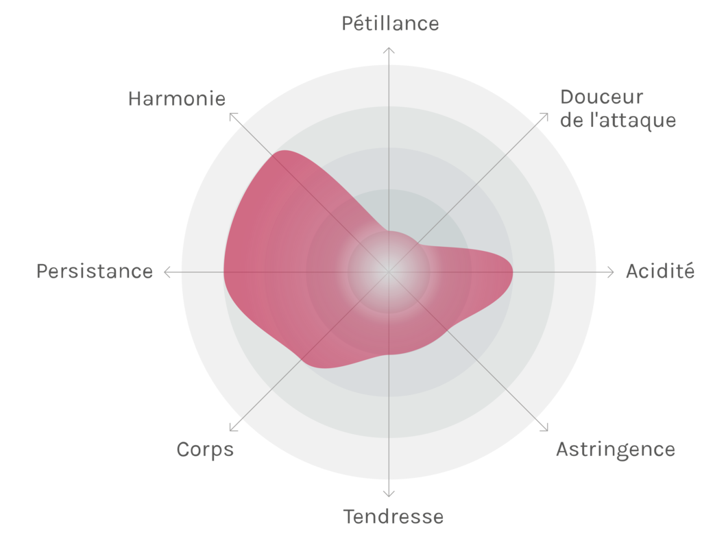 Spinnennetz-Chart