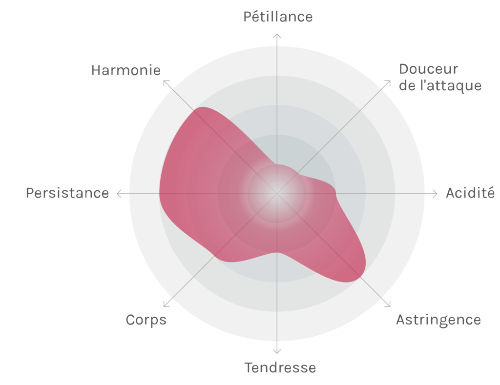 Spinnennetz-Chart