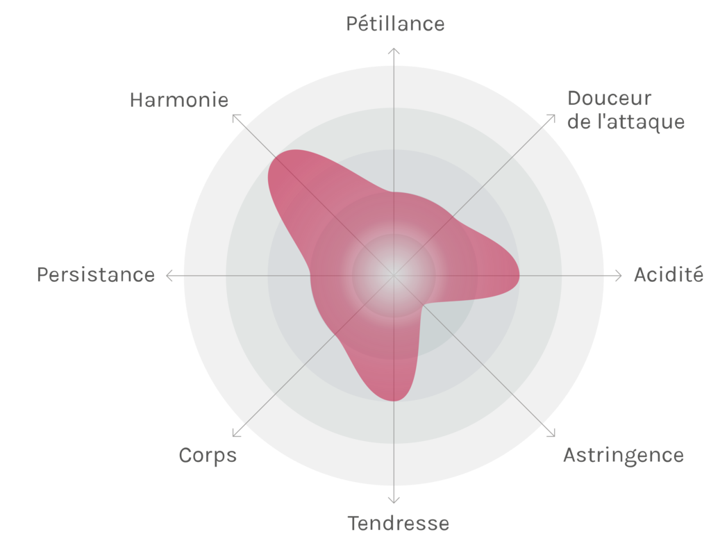 Spinnennetz-Chart