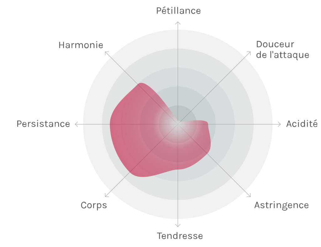 Spinnennetz-Chart