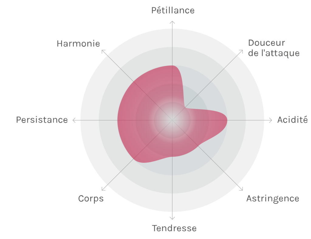 Spinnennetz-Chart