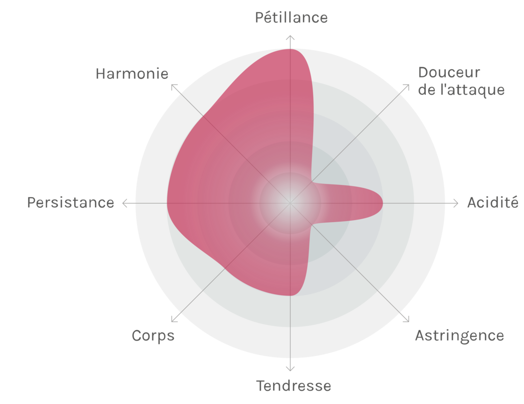 Spinnennetz-Chart