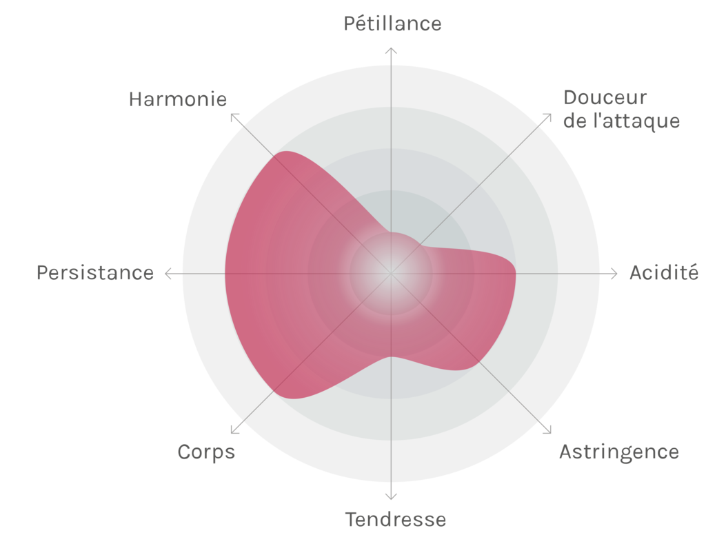 Spinnennetz-Chart