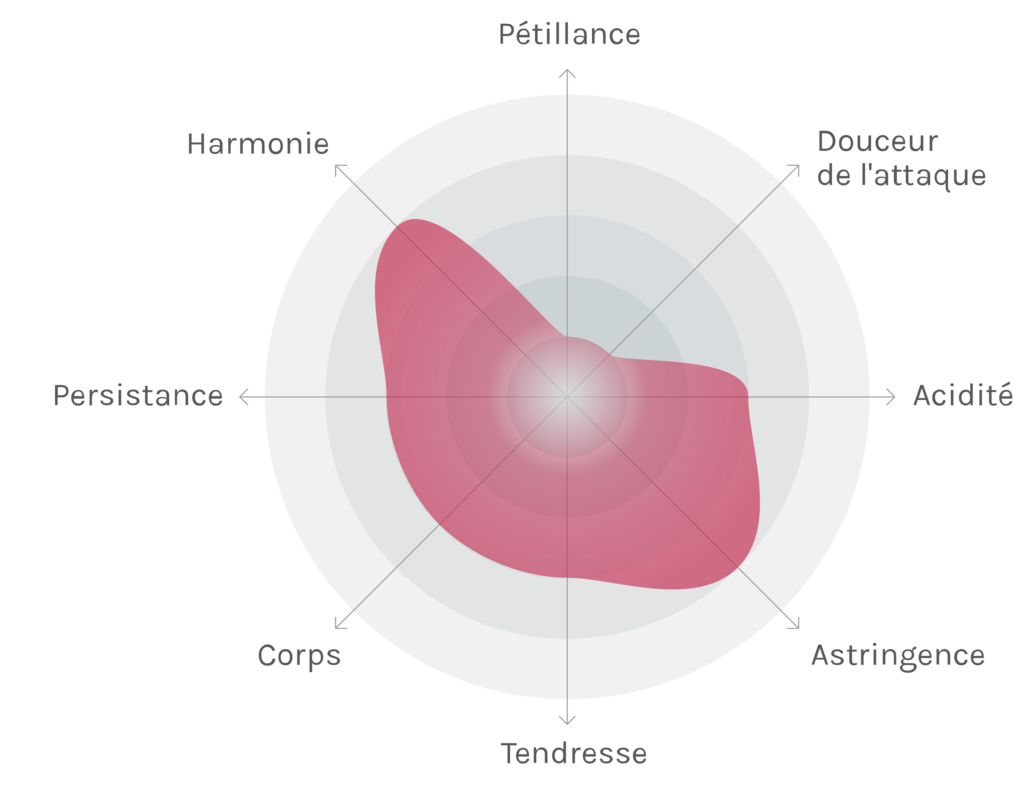 Spinnennetz-Chart