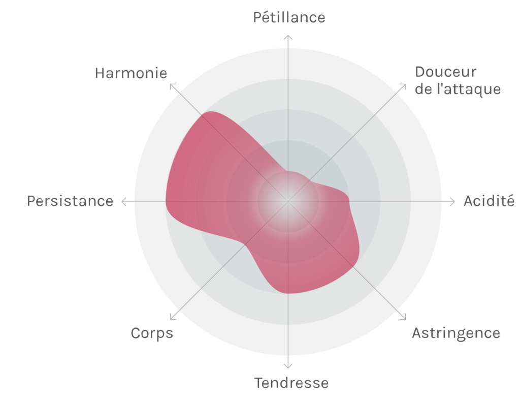 Spinnennetz-Chart