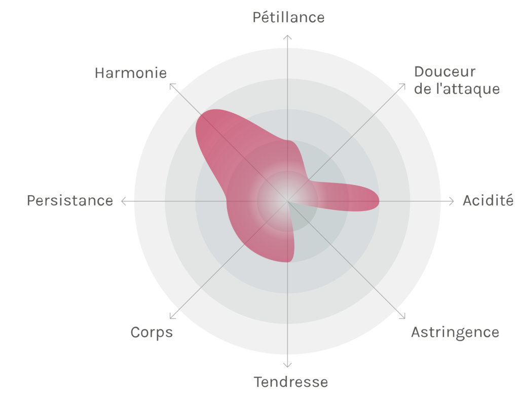 Spinnennetz-Chart