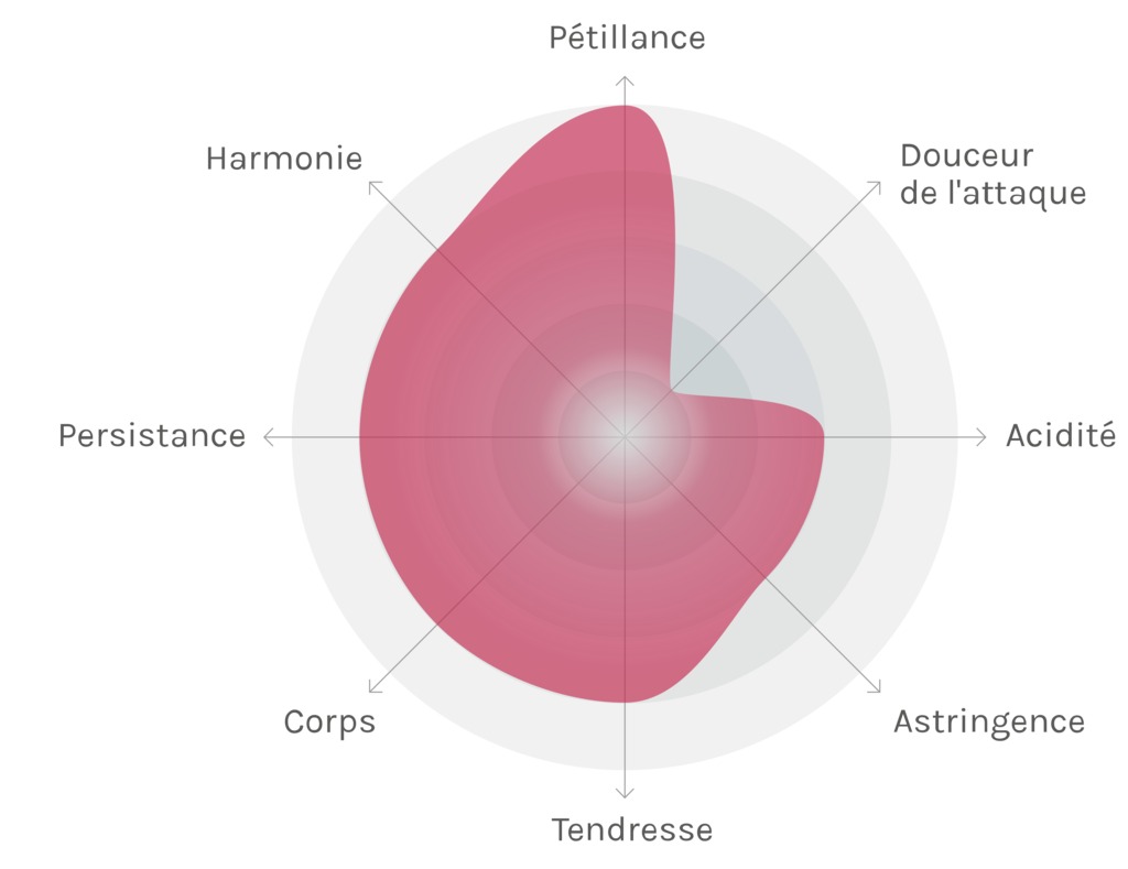 Spinnennetz-Chart