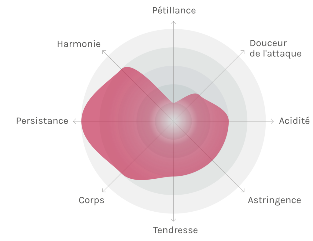 Spinnennetz-Chart